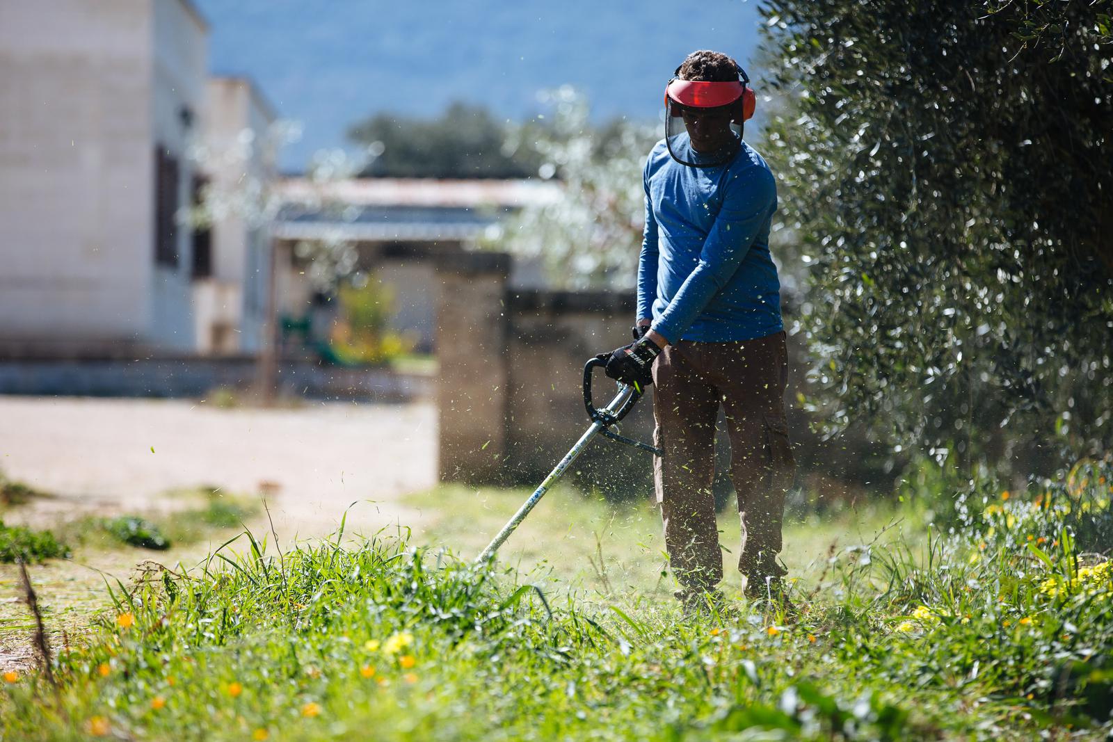 Man using Echo lawn edger on grass